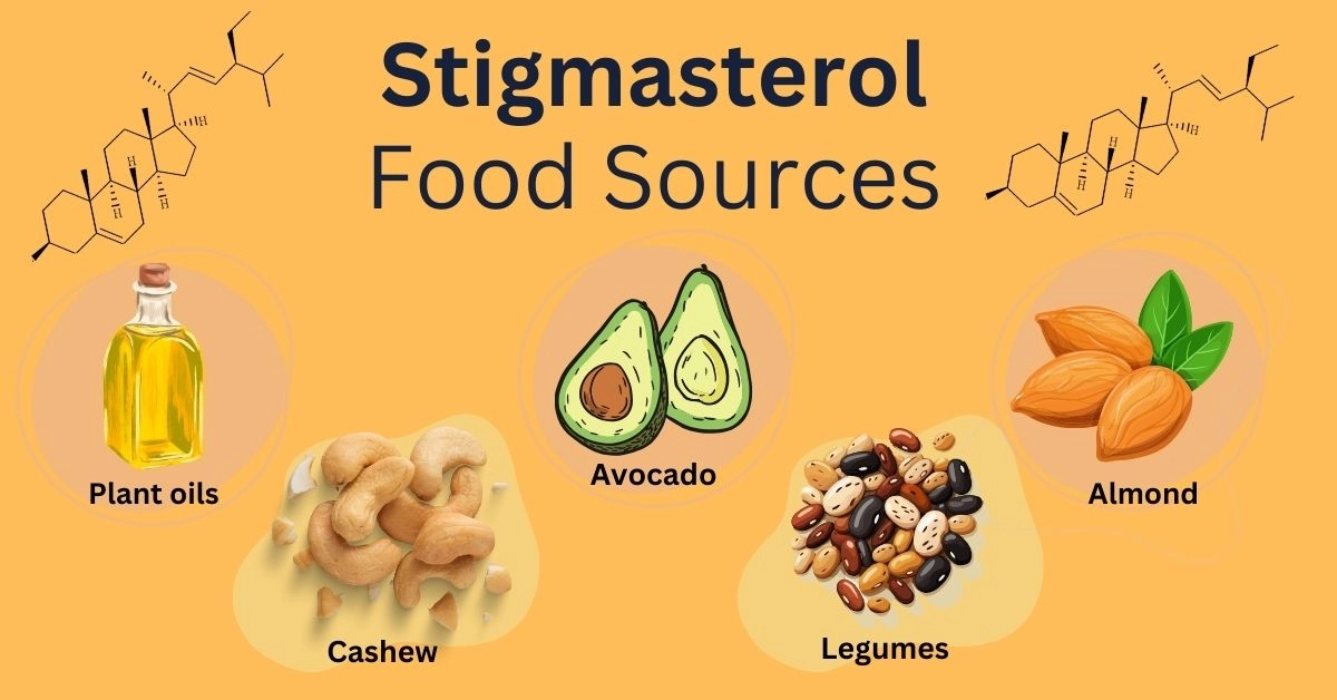 stigmasterol food sources