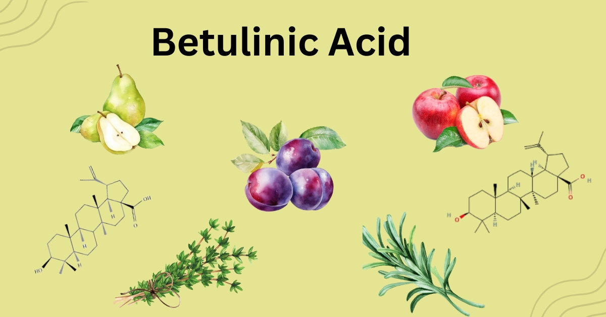 Betulinic Acid — Structure, Health Benefits, Supplements, & Food Sources