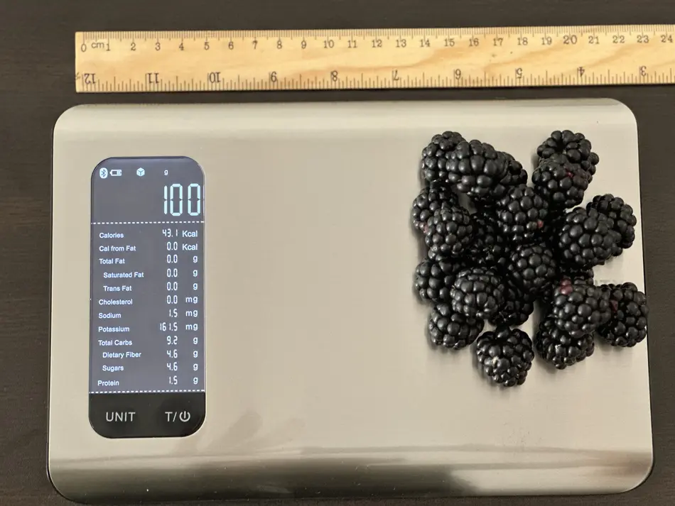 43 Calories or 100 Grams of Blackberry