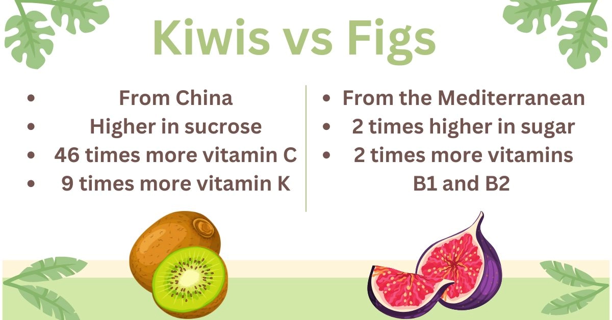 kiwifruit vs figs vitamins, origin, nutrition