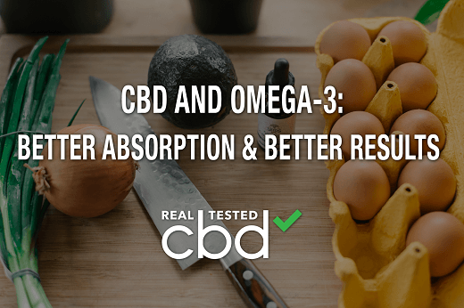 CBD and Omega-3 Article photo