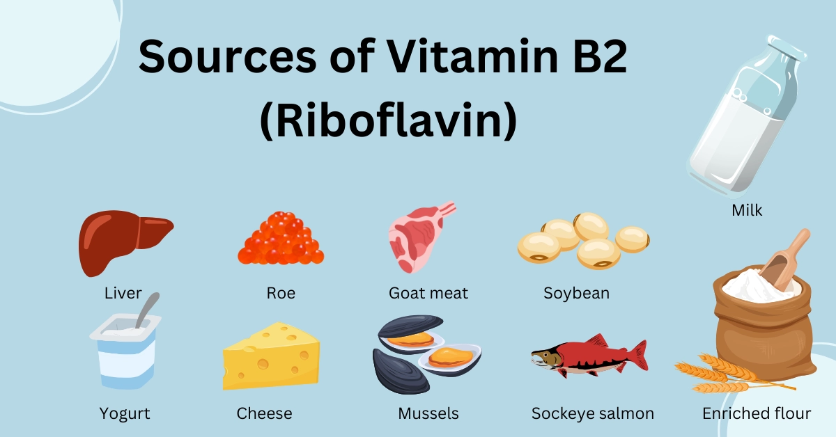Vitamin B2 (Riboflavin) - Food Sources, Benefits, and Deficiency
