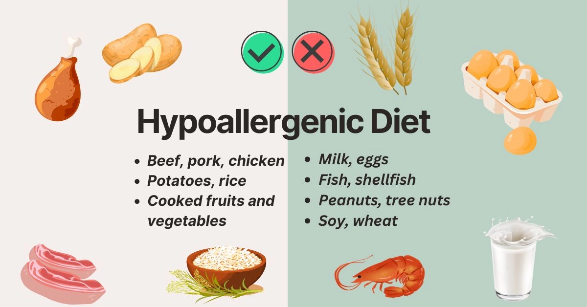 hypoallergenic diet dos and don'ts