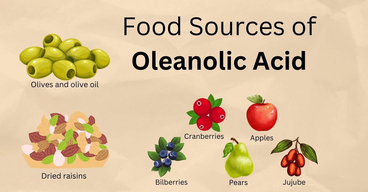 Oleanolic Acid  Food Sources