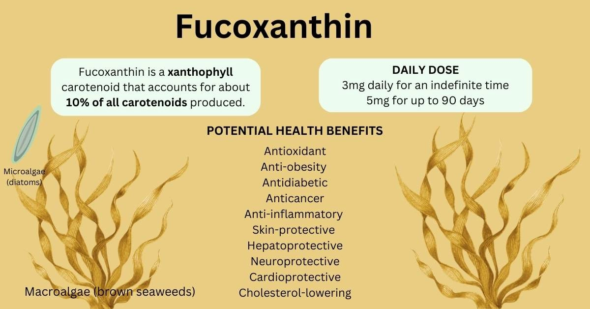 Fucoxanthin Food Sources and Health Benefits,