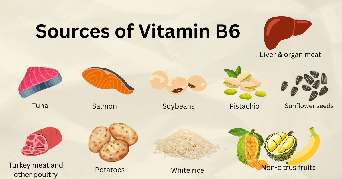 Vitamin B6 (pyridoxine) is required for various biochemical reactions and cellular metabolism regulation. Vitamin B6 is found in fish, meat, and plant-based products.
