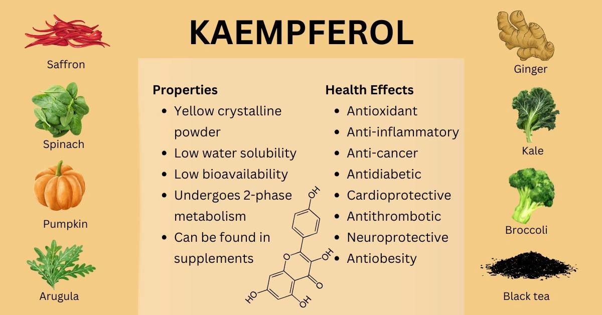 Kaempferol — Structure, Rich Foods, Health Benefits