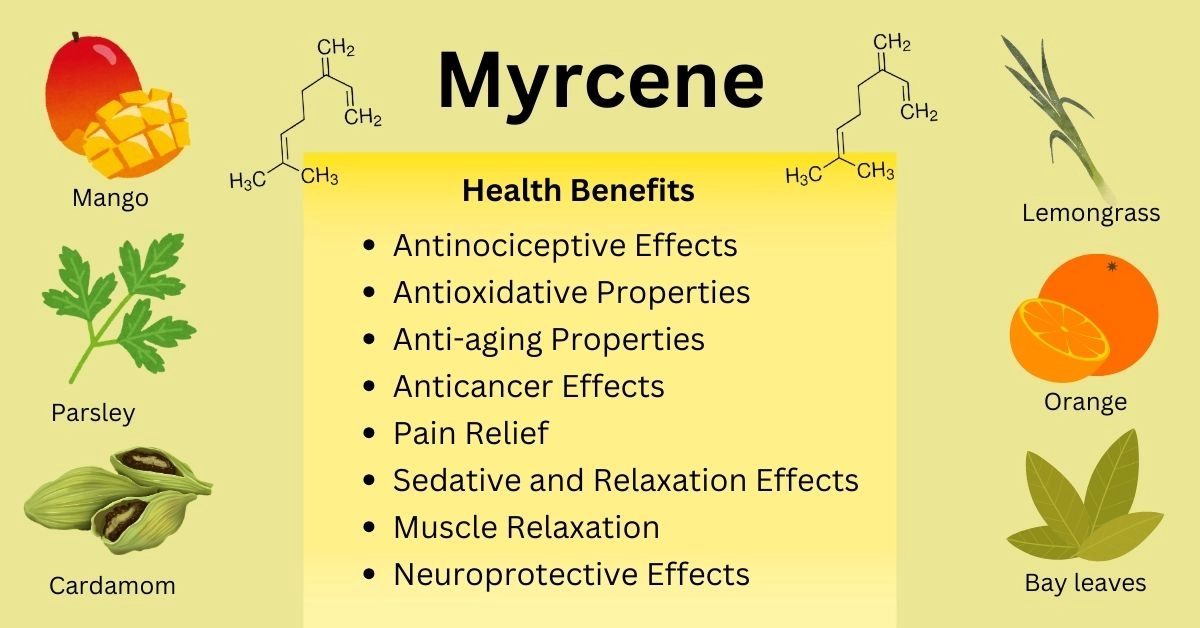 myrcene structure health benefits and food sources