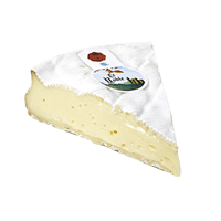 Camembert