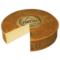 Fontina