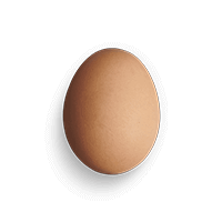 Turkey egg