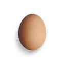 Turkey egg