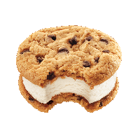 Ice cream sandwich