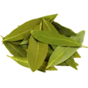 Bay leaf