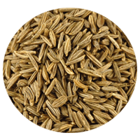 Caraway spice