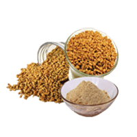 Fenugreek