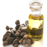 Tea seed oil