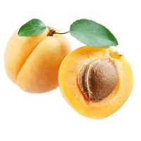 Apricot