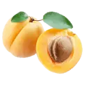 Apricot