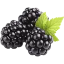 Blackberry