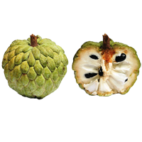 Cherimoya