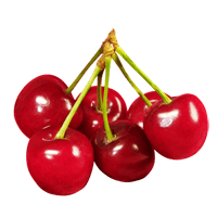 Cherry