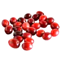 Cranberry