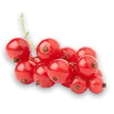 Currant