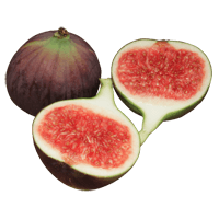 Common Fig Nutrition Glycemic Index Calories And Diets