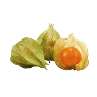 Peruvian groundcherry