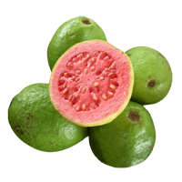 Guava