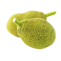 Jackfruit