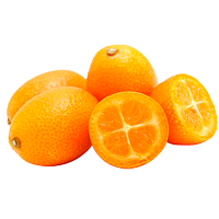 Kumquat