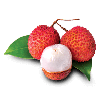 Lychee