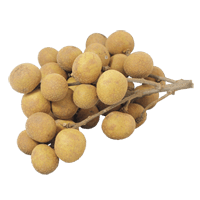 Longan