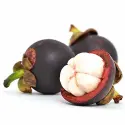 Purple mangosteen