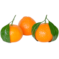 Mandarin orange