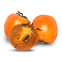 Persimmon