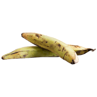 Plantain