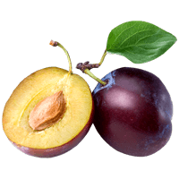 Plum