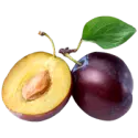 Plum