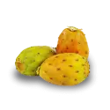 Prickly pear