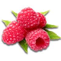 Raspberry