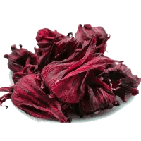 Roselle (Hibiscus sabdariffa)