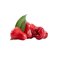 Rose apple