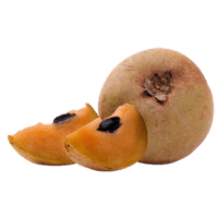 Sapodilla