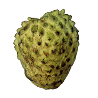 Soursop