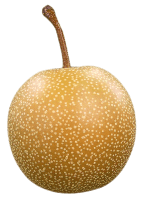 Asian pear