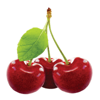 Sour cherry