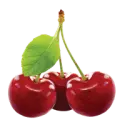 Sour cherry